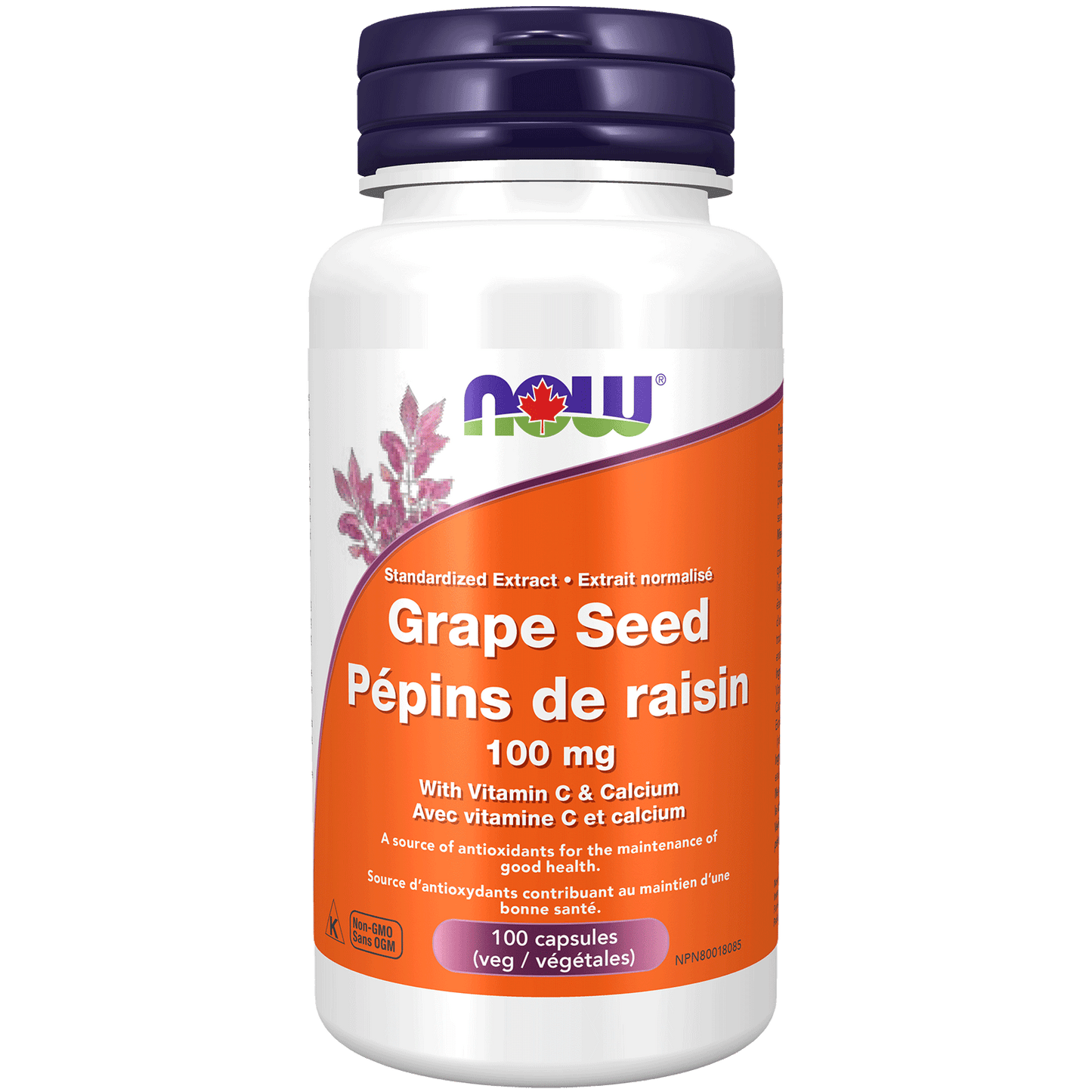 NOW Grape Seed Extract 100mg 100vcap