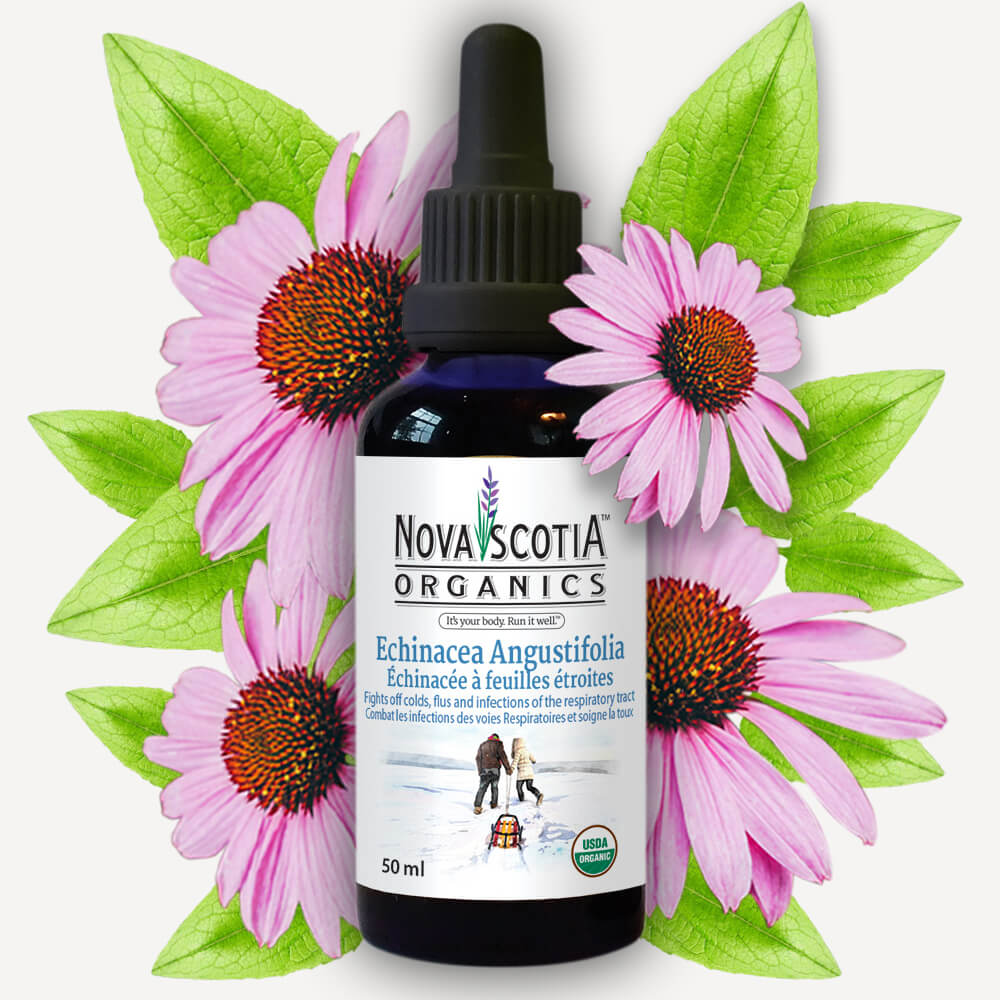 NOVA Organics - Echinacea Angustifolia - 50 ml