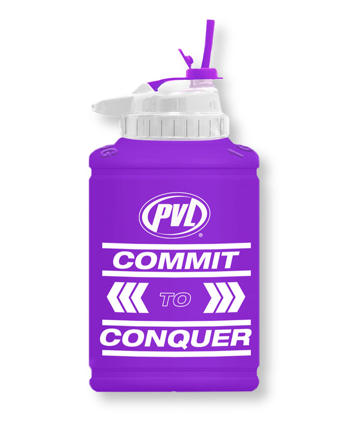 PVL WHEY GOLD PVL Power Jug Flip-N-Sip Purple 1/2 Gallon /1.89L