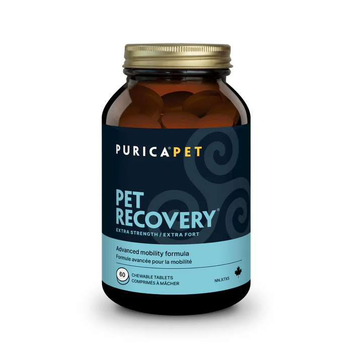 PURICA Pet Recovery 60 x-strength chews