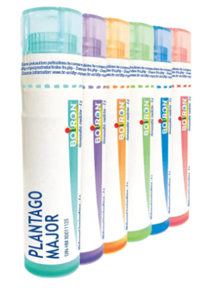 Plantago Major 30 CH