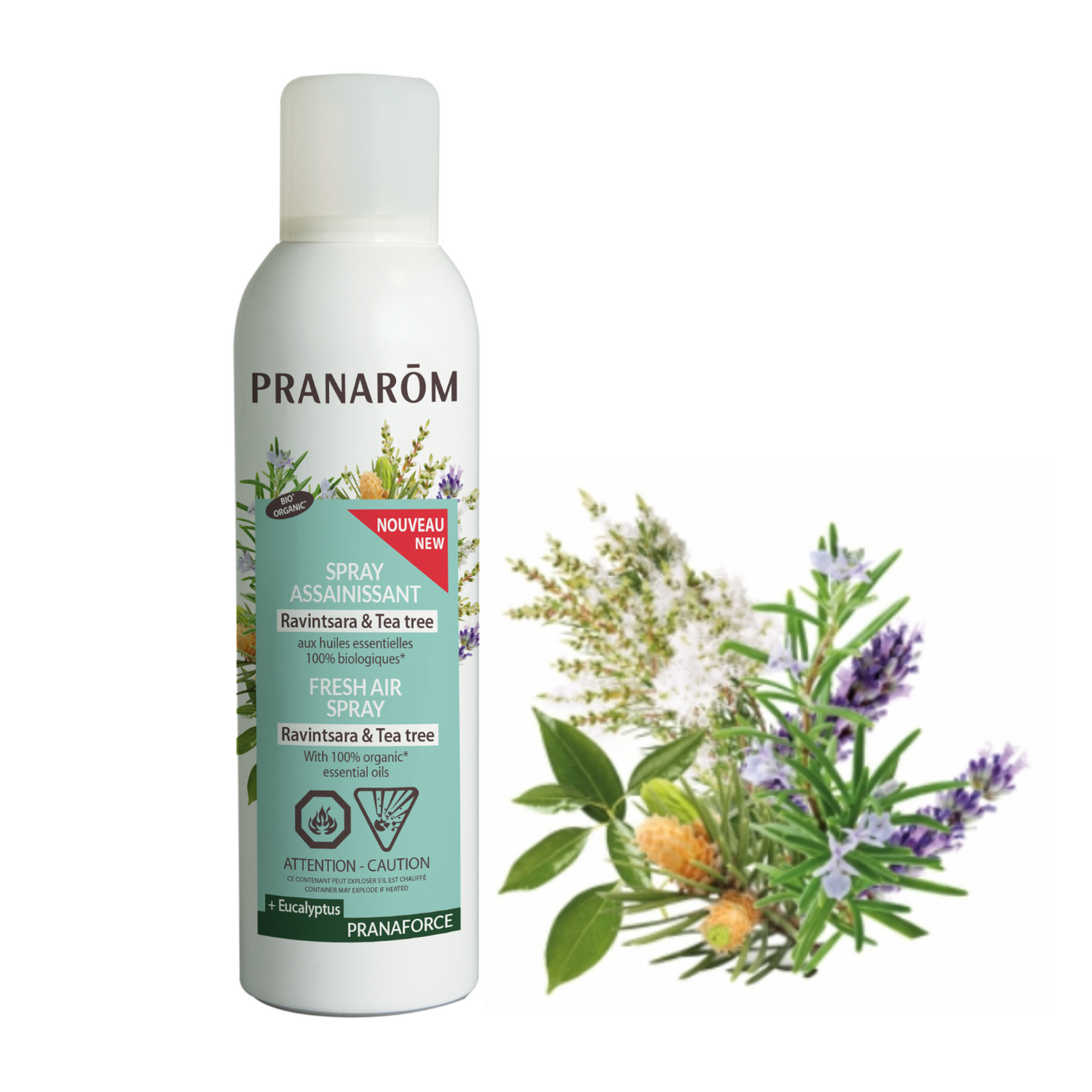 Pranarom - Ravintsara Tea Tree Spray - 150 ml