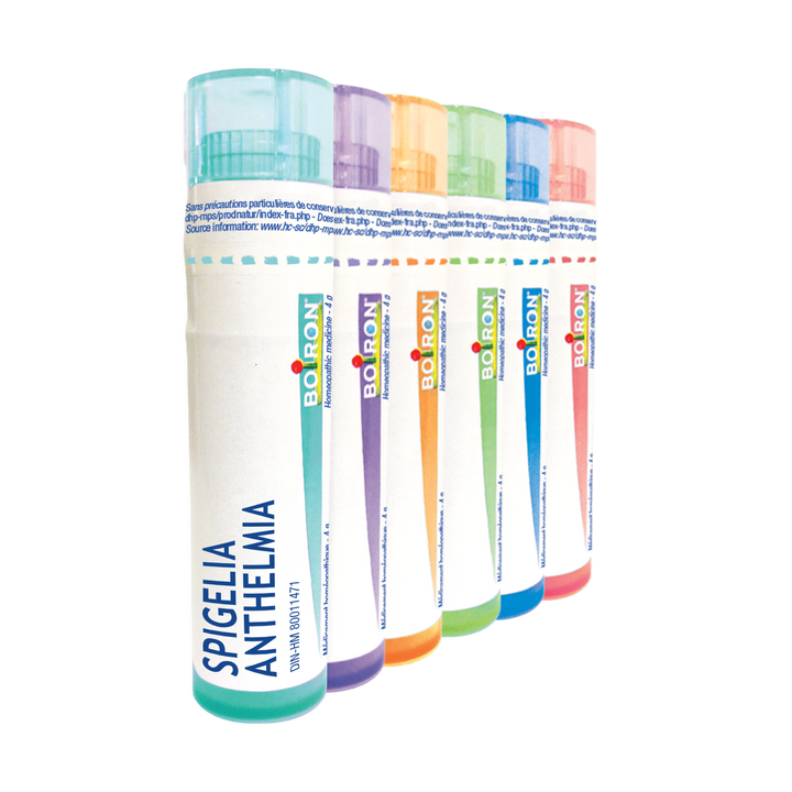 Spigelia Anthelmia  6 CH