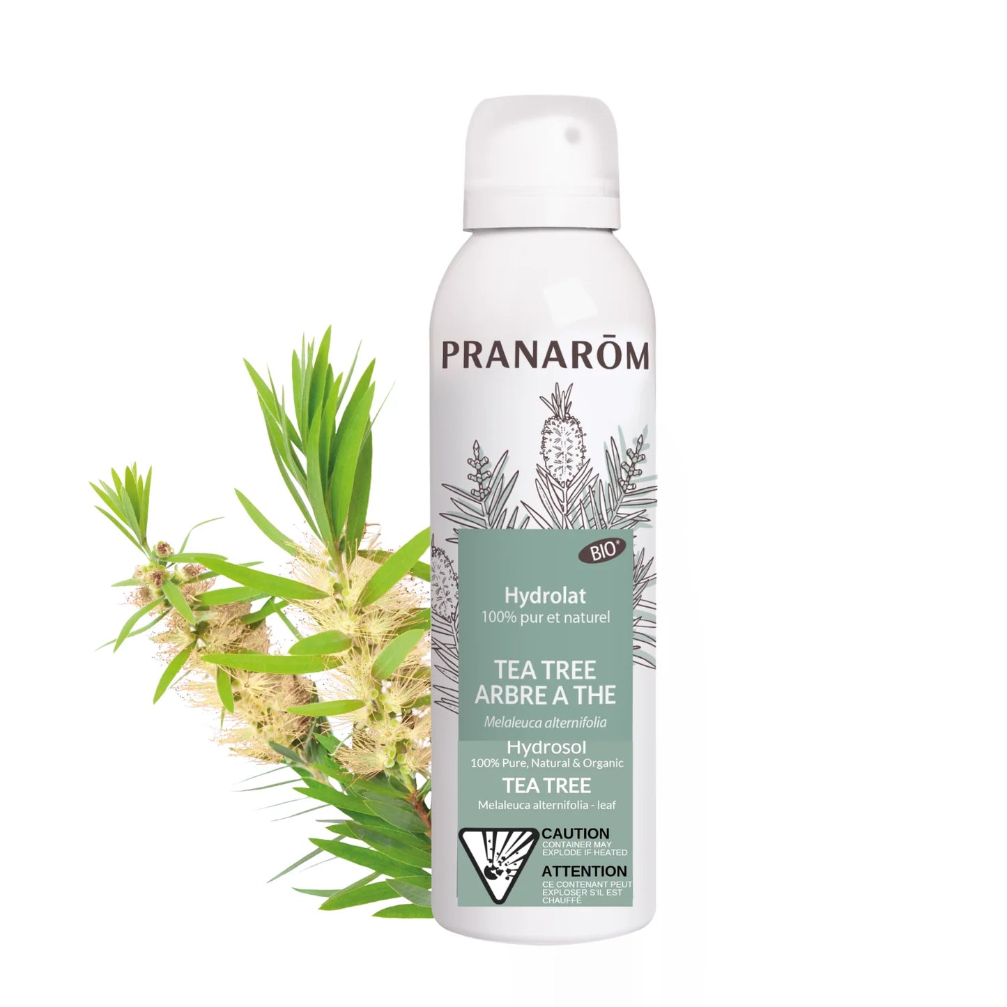 Pranarom - Hydrosol Tea Tree - 150 ml