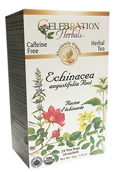 CHTea - Echinacea Aug Root ORG 24TB