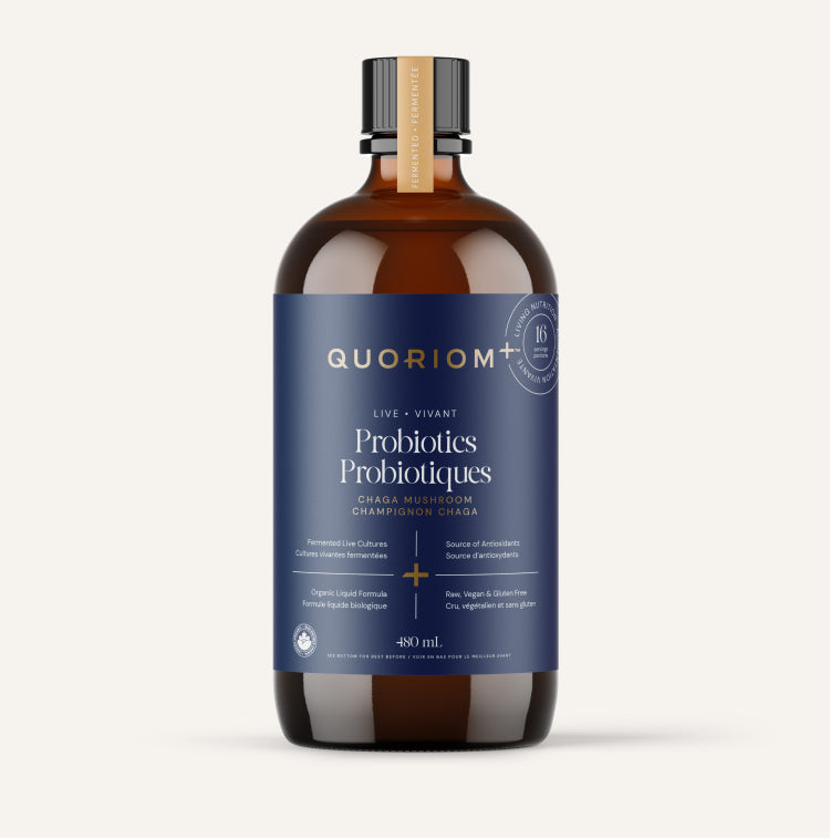 QUORIOM+ Chaga Mushroom, 480ml