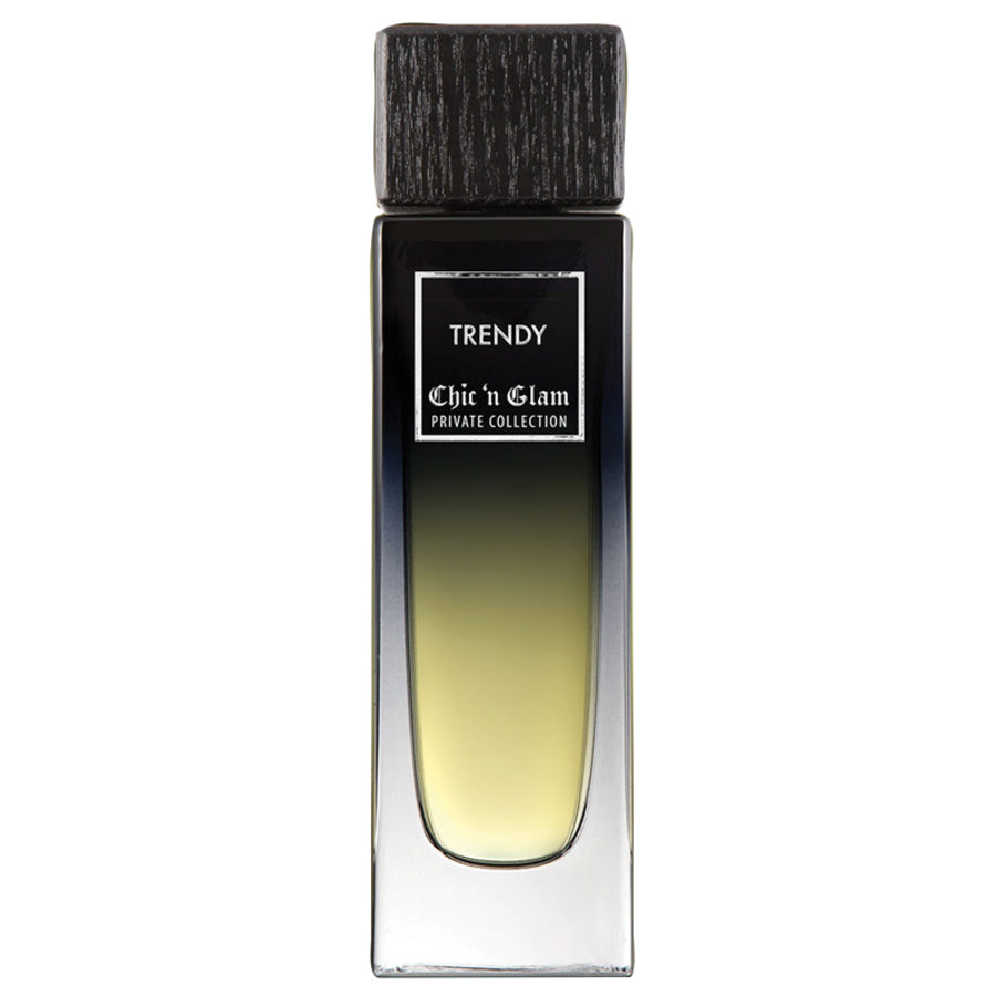 Chic 'N Glam Men Chic 'n Glam Trendy Private Collection 100 ml Eau De Parfum Spray (Unboxed)