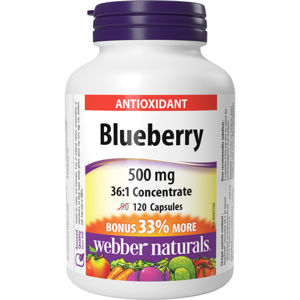 Webber Naturals - Blueberry 36:1 Concentrate 500 mg - 90+30 Capsules
