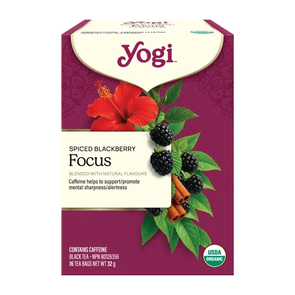 Yogi - Spiced Blackberry Focus - 16bg