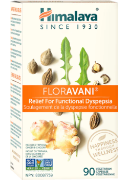 Himalaya Wellness - Floravani (FE) 90 Count