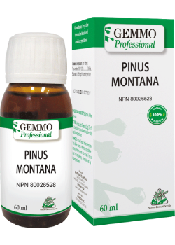 ORGANIC GEMMOTHERAPY    Pinus Montana BIO    60 ml