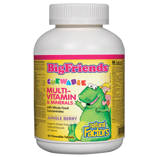 Natural Factors   Chewable Multivitamin & Minerals with Whole Food Concentrates, Jungle Berry Big Friends®   60 chewschews