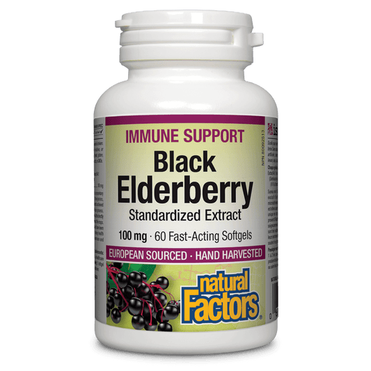Natural Factors   Black Elderberry Standardized Extract 100 mg   60sgls