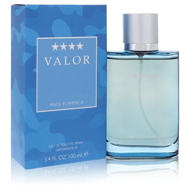 Dana Men Valor 100 ml Eau De Toilette Spray