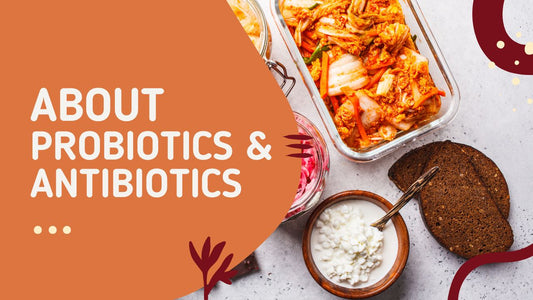 Can You Take Probiotics with Antibiotics? Everything You Need to Know