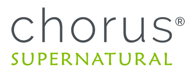 CHORUS GLOBAL ENTERPRISES