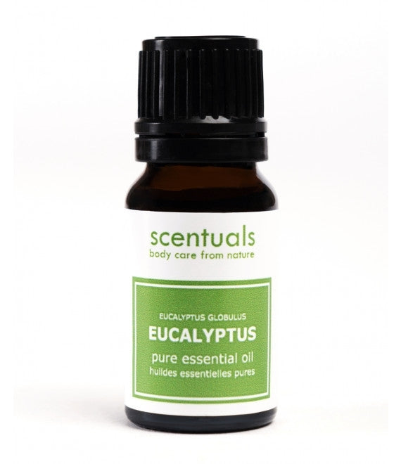 Scentuals - 100% Pure Essential Oils - 10ML Eucalyptus