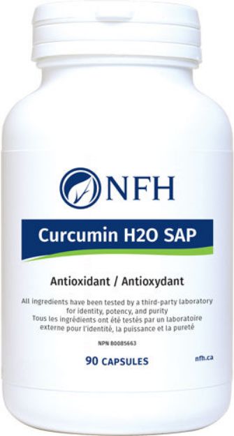 Curcumin H2O SAP (500 mg turmeric extract/capsule) 90 capsules -