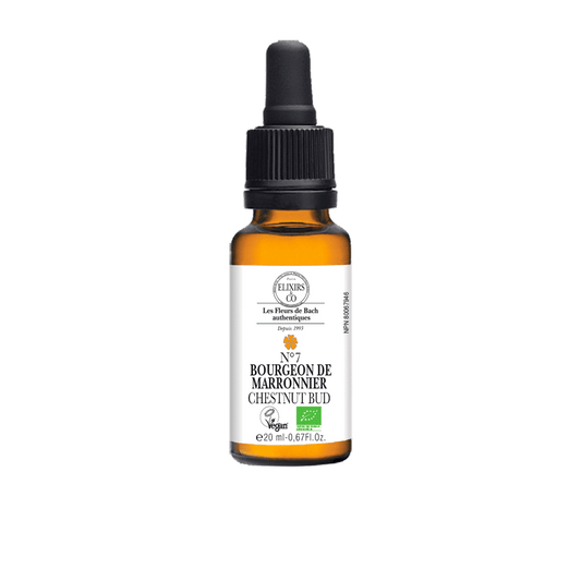 Bach    N°7 Chesnut Bud BIO    20 ml