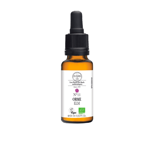 Bach    N°11 Elm BIO    20 ml