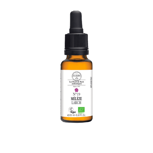 Bach    N°19 Larch BIO    20 ml