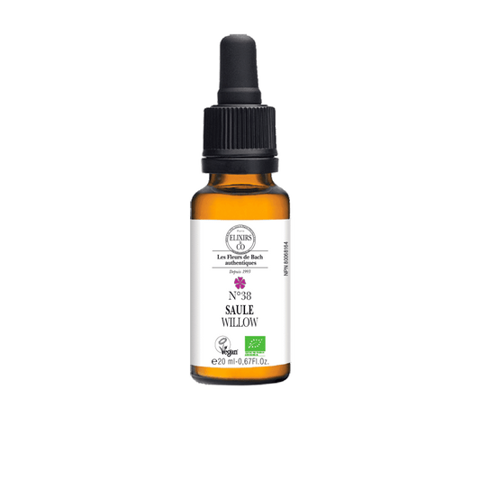 Bach    N°38 Willow BIO    20 ml