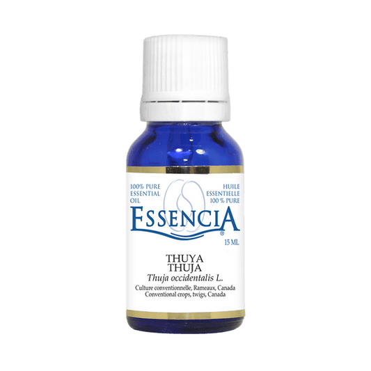 THUYA 30ML Mother Tincture