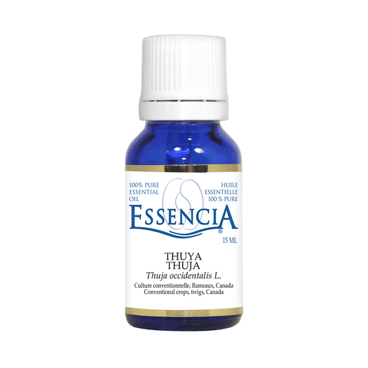 ESSENCIA    Thuya (Thuya occidentalis)    15 mL