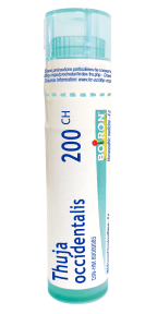 Thuja Occidentalis  200 CH