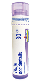 Thuja occidentalis  30 CH