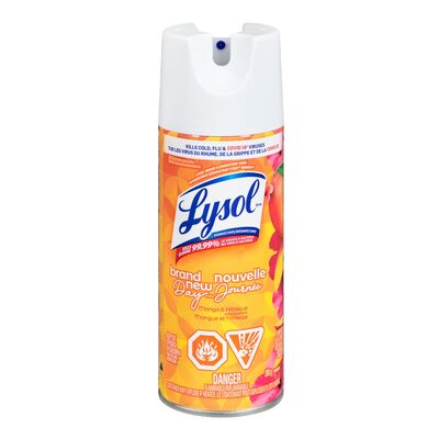 LYSOL ALL IN ONE DISINFECTANT SP 350G SPRAY