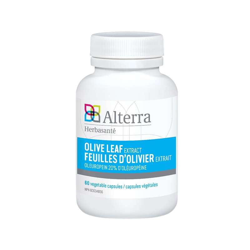 Alterra_Olive Leaf Extract_60 VEG. CAPS