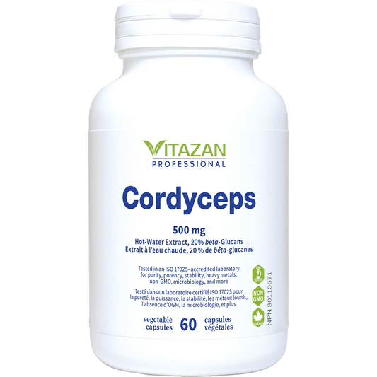 Vitazan    Cordyceps (500 mg · Paecilomyces hepiali Hot-Water Extract) 60 capsules