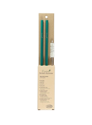 ENVIRO GLASS STRAWS   Combo Reg. Stl Straw 10.5" Green