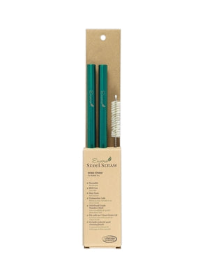 ENVIRO GLASS STRAWS_Combo BubTea Straws 9.5" Green
