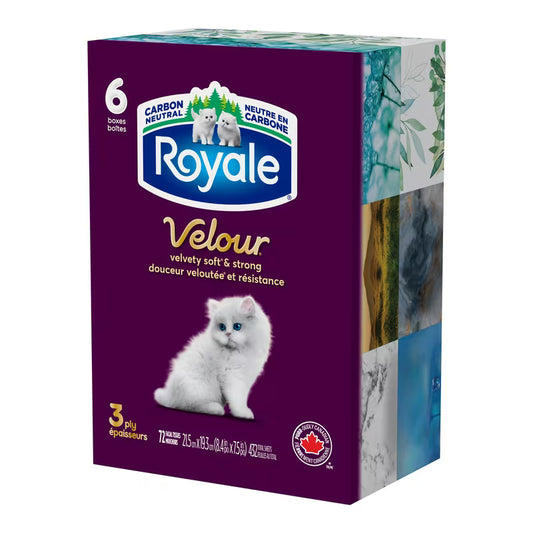 ROYALE FACIAL TISSUE 3PLY 72S 6PK pack of 8