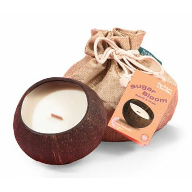 THE FUTURE IS BAMBOO    Sugar Bloom Coco Candle