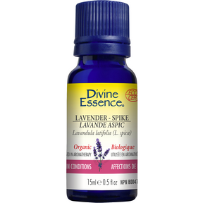 Divine Essence   Lavender - Spike (Organic) 15ml