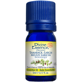 Divine Essence   Larch Tamarack (Organic) 5ml