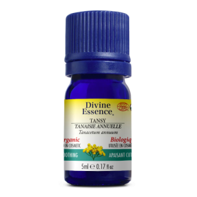 Divine Essence   Chamomile - Blue (Tansy) (Org) 5ml