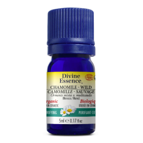 Divine Essence   Chamomile - Wild (Morocco) (Org) 5ml