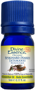 Divine Essence   Spikenard (Nard) (Organic) 5ml