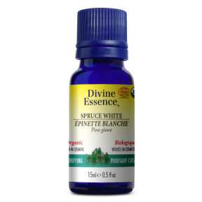 Divine Essence   Spruce - White (Organic) 15ml
