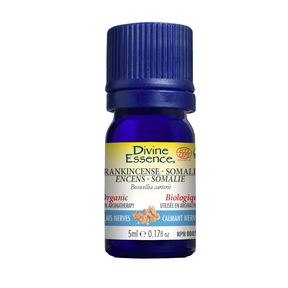 Divine Essence   Frankincense (Somalia) (Organic) 5ml