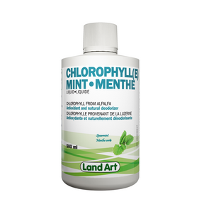 Land Art   Chlorophyll Mint 500ml