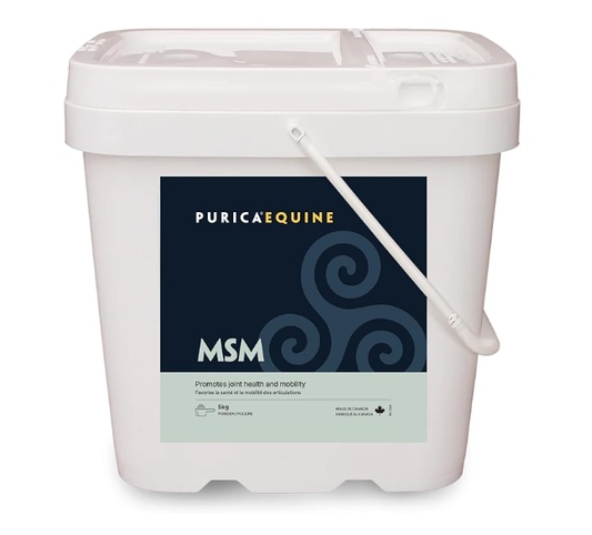 PURICA   MSM Vegan 5kg