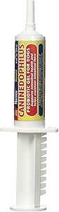 NATREN - RETAIL   CanineDophilus for Dogs, 20ml
