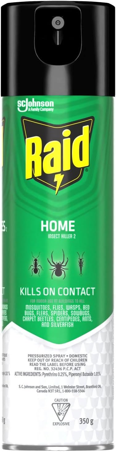RAID INSECT KILLER FOR HOME 350G AEROSOL pack of 12