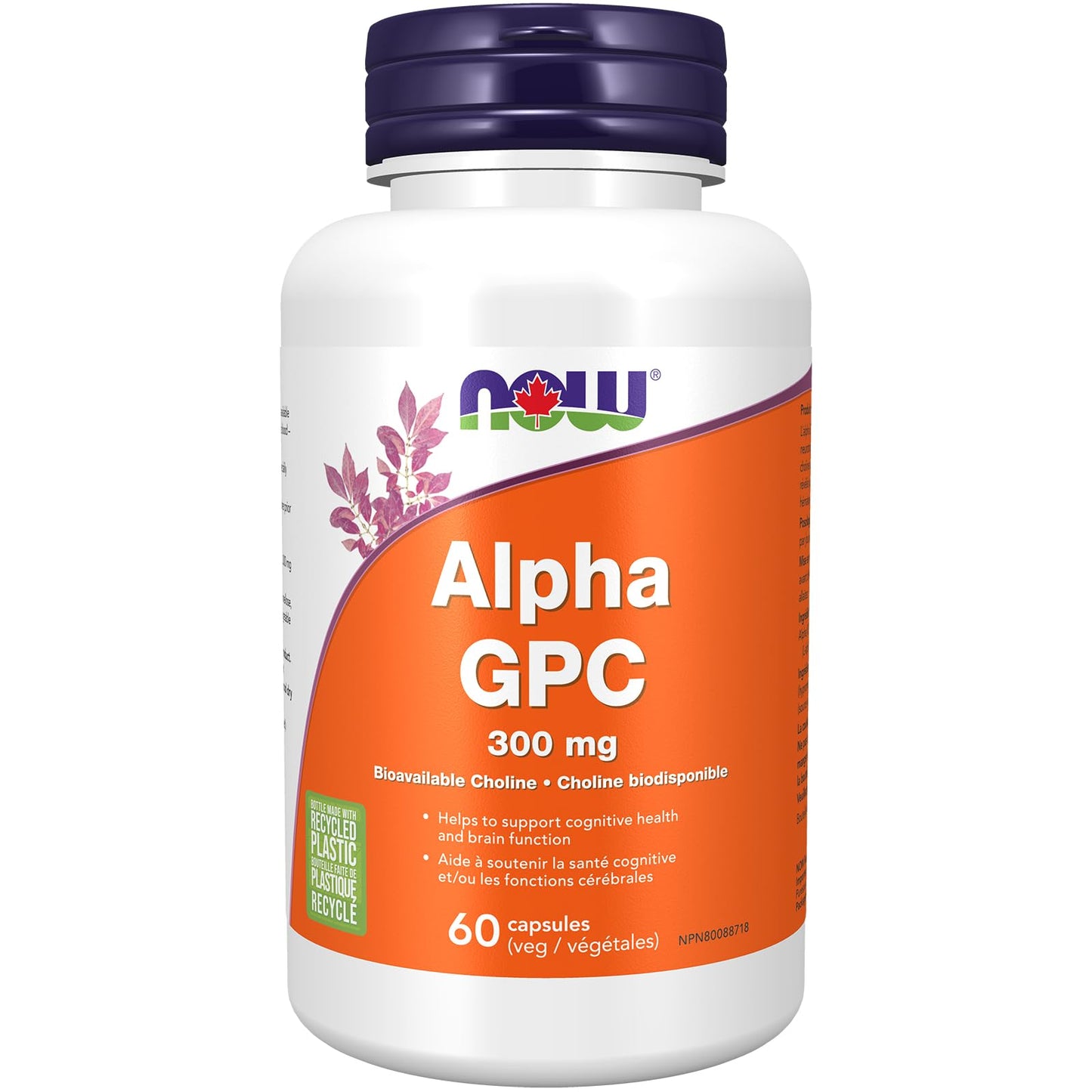 NOW    Alpha GPC (Bioavailable Choline) 300mg 60vcap