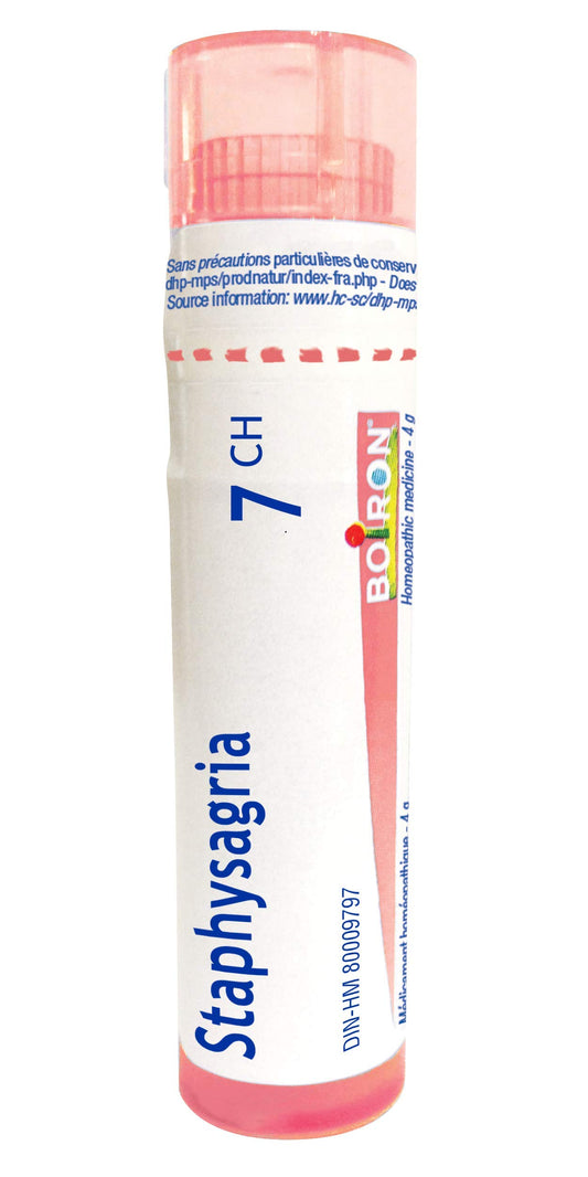 Staphysagria 7CH